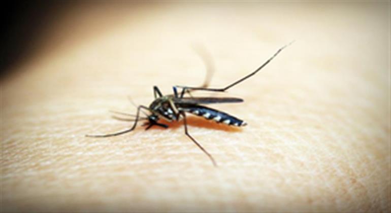 WHO warns over malaria surge in Ethiopia