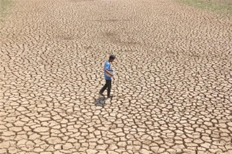 Drought causes over $1bn production losses in Uruguay