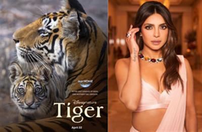 Priyanka Chopra had 'fun' exploring jungles through the film 'Tiger'