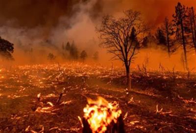 जंगल की आग ने कनाडा में दो समुदायों के लिए आपातकालीन चेतावनी जारी की