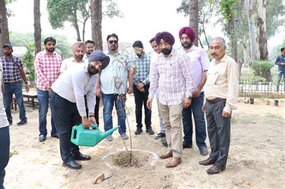 पीएसपीसीएल के एचआरडी विंग ने सफल वृक्षारोपण अभियान चलाया
