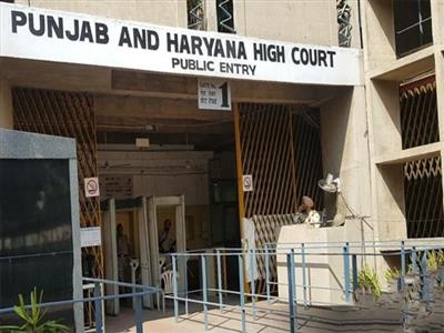 Punjab Municipal Council Elections: Hearing will be held in the High Court today