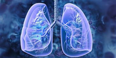 This Chinese medicinal fungus may help treat chronic lung disease