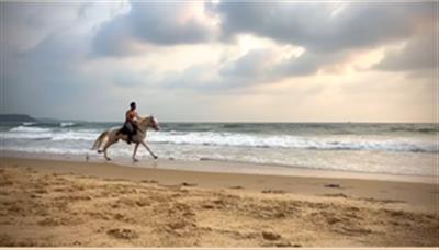 Ishaan Khatter experiences thrill of horseback riding on the beach