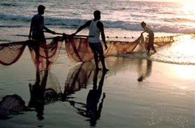 Eight Tamil Nadu fishermen arrested by Sri Lankan Navy