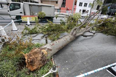 Four missing in Japan landslide