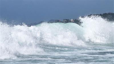 Typhoon Shanshan brings heavy rain, strong wind to South Korea's Jeju Island