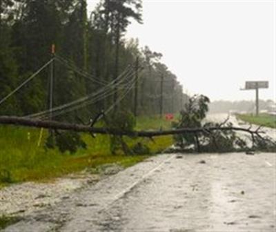 Man dies after tree falls on car amid severe winds in Australia