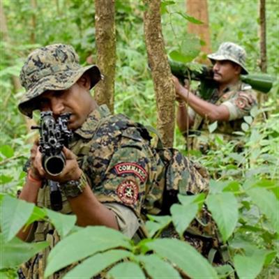 Six Maoists killed in encounter with Telangana Police