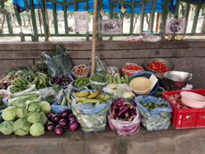 Bangladesh slashes duties on vegetable imports