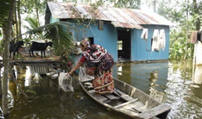 August floods cause $280 million damage to Bangladesh's agriculture