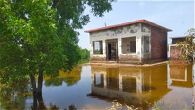 Floods in Pakistan's Sindh leave 230,000 children out of school: UNICEF