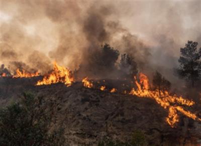 Wildfires kill 7 people in Portugal