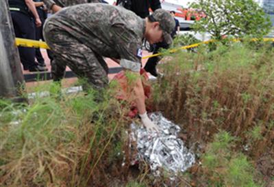 North Korea trash balloon lands inside Seoul govt complex