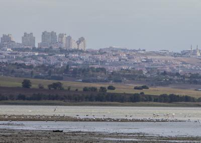 Turkey's lakes drying up amid groundwater overuse, climate change