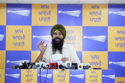 MP Malvinder Kang Highlights: Bhagwant Mann Ends Bribery and Political Favoritism in government Job Allocations