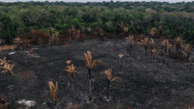 Brazil's capital breaks record for longest drought of 164 days