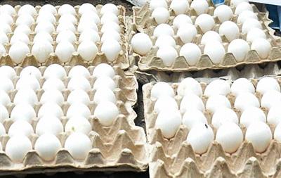 Fear about eggs spiking cholesterol levels ‘unwarranted’: Experts