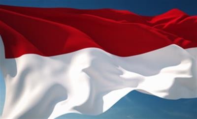 Indonesia inaugurates 2 new special economic zones to boost investment