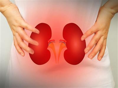 Study explains how PFAS exposure worsens kidney function