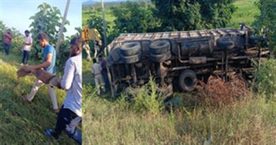 Truck carrying wild animals overturn sin Telangana, escaped crocs recaptured