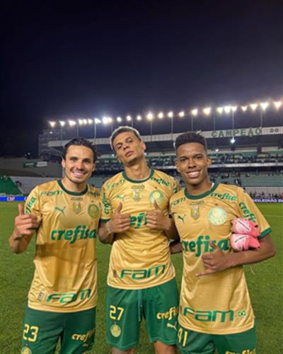 Veiga hat-trick raises Palmeiras' title hopes