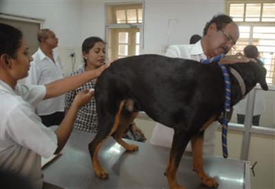 Gurugram: Kadipur Animal Hospital to be made veterinary centre of excellence