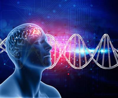 Australian study discovers genetic link between brain volume, disorders