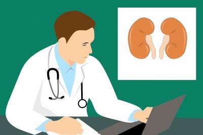 Chronic kidney disease cases in women tripled in last 3 decades globally: Indian-led study