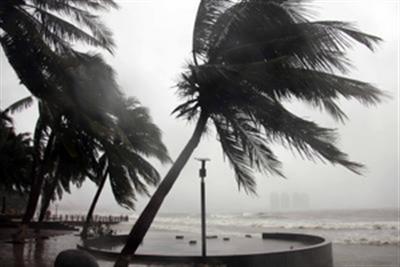 Over 50,000 in China's Hainan evacuated as Typhoon Trami grows