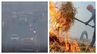 108 new cases of stubble burning, AQI crosses 200 in Tricity