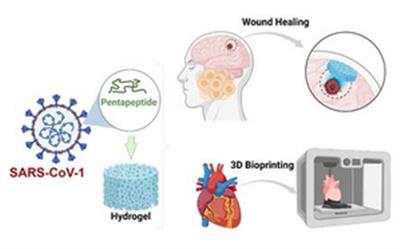 Indian scientists develop method to create hydrogels to boost drug delivery