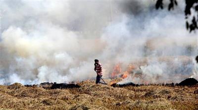 Farmers burning stubble continuously, smoke everywhere