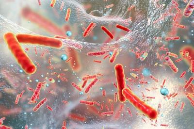 New species of superbug behind spike in severe human infections