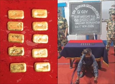 Over 1 kg gold seized by BSF along Indo-B’desh border, smuggler nabbed