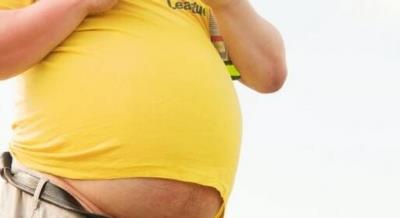 Study explains why obesity increases risk of diabetes