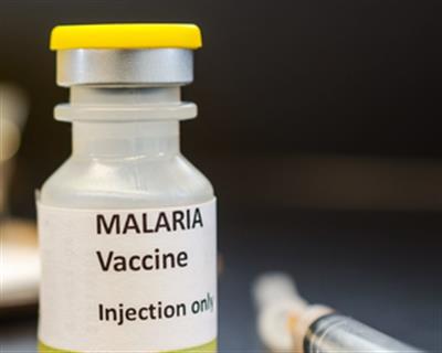 1st malaria vaccine shows promise against rising cases: Report