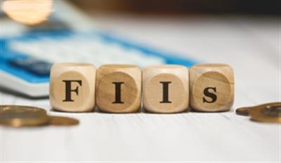 FIIs remain net investors in India this year amid robust economy, resilient market