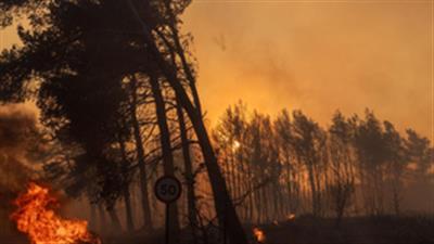 Wildfire destroys 1,400 hectares of national park in Argentina