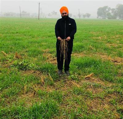 ਕਿਸਾਨ ਗੁਰਵਿੰਦਰ ਸਿੰਘ ਪਿਛਲੇ 10 ਸਾਲਾਂ ਤੋਂ ਪਰਾਲੀ ਨੂੰ ਬਿਨਾਂ ਸਾੜੇ ਕਰਦੇ ਨੇ ਕਣਕ ਦੀ ਬਿਜਾਈ