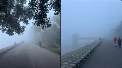 Thick fog in Chandigarh, 4 flights delayed