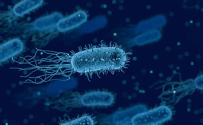 Israeli researchers discover virus defence system in marine bacteria