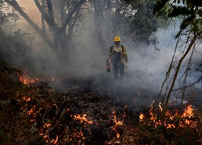 Wildfire devours 3,500 hectares of national park in Argentina