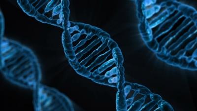 DNA repair may determine how cancer cells die following radiotherapy