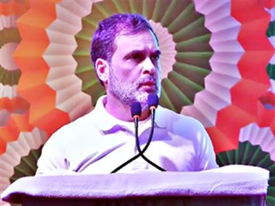 Rahul reiterates nationwide Caste Census call; questions Dalit, OBC representation in power structure