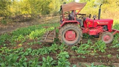 Poppy crop worth Rs 125 crore destroyed in four Jharkhand districts, 86 arrested