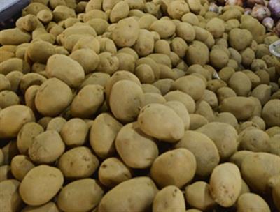 Potato growers in Haryana included in Bhavantar Bharpai Yojana