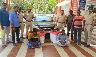 Two held with 102 kg ganja in crackdown on drugs in Tamil nadu